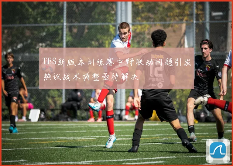 TES新版本训练赛中野联动问题引发热议战术调整亟待解决