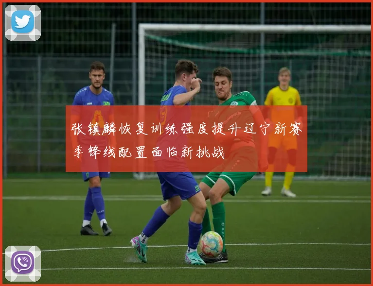 张镇麟恢复训练强度提升辽宁新赛季锋线配置面临新挑战
